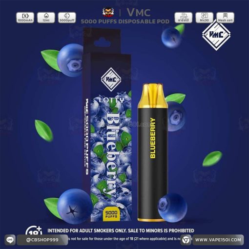 พอตใช้แล้วทิ้ง VMC 5000 Puffs 1000mAh Disposable Pod