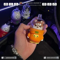 Space Husky Disposable Pod 6000 Puffs-14