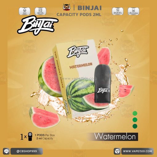 หัวน้ำยา – Binjai Pods Capacity 2ml [แท้]