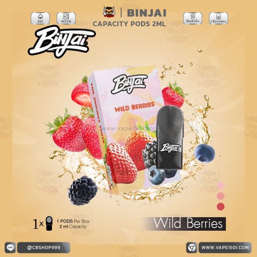 หัวน้ำยา – Binjai Pods Capacity 2ml [แท้]