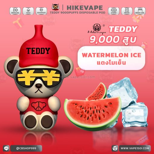 พอตใช้แล้วทิ้ง Hikevape Teddy Disposable Pod 9000 Puffs 650mAh [แท้]