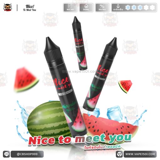 Nice to meet you Watermelon Gum Salt Nic Nic30